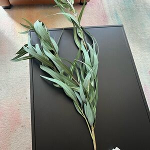 West Elm Green Faux Eucalyptus Stem
